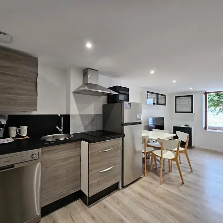 Appartement Bord De Vue Leman Geneva Paddle Meillerie