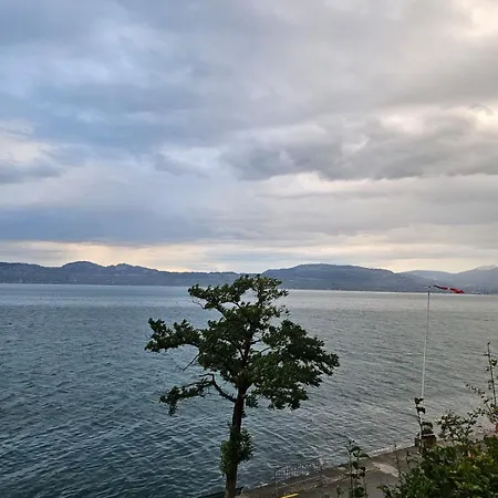 Bord De Vue Leman Geneva Paddle Meillerie